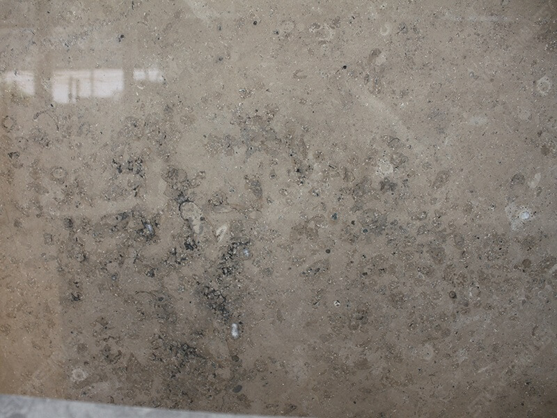 Jura Grey Limestone Texture-1